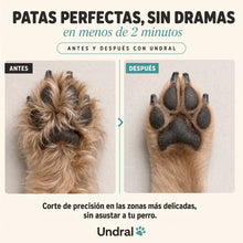 Antes y después de recortar el pelo de las patas de un perro con la ZenTrimer