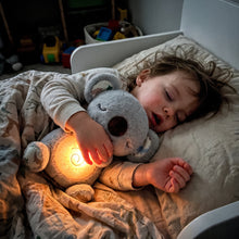 Peluche relajante koala que simula la respiración